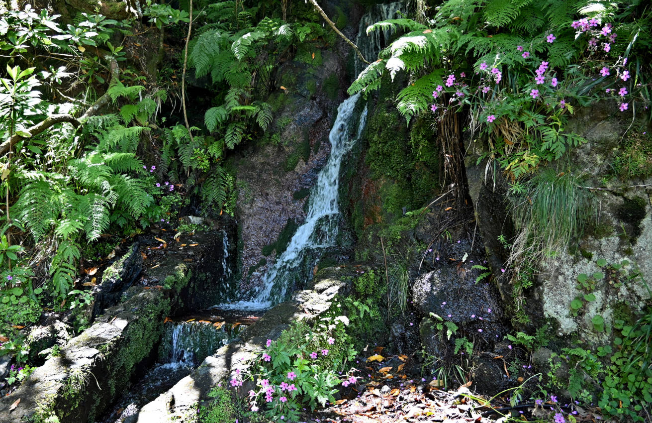 Верховья реки Рибейра-Гранде, image of landscape/habitat.