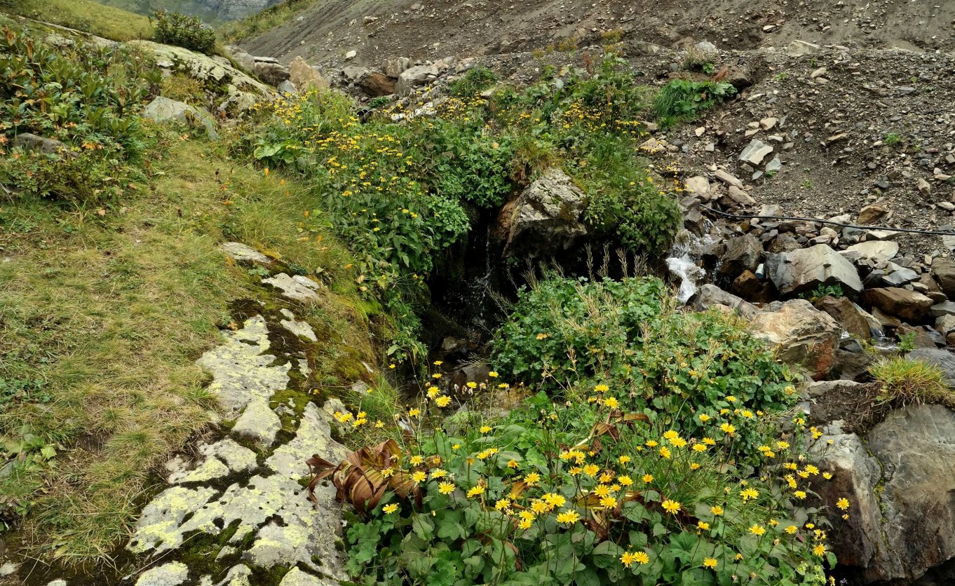 Черная пирамида, image of landscape/habitat.