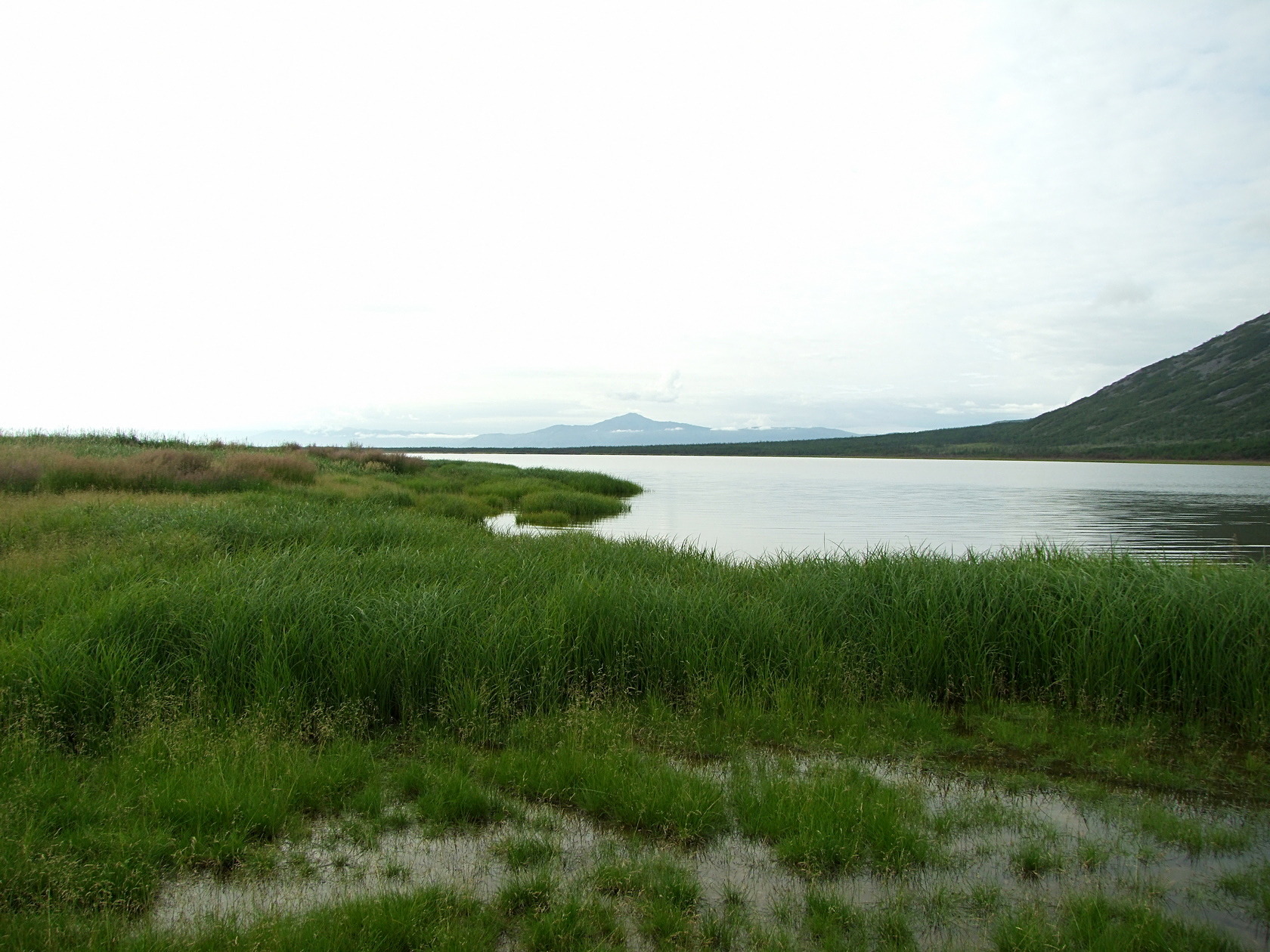 Соленое, image of landscape/habitat.