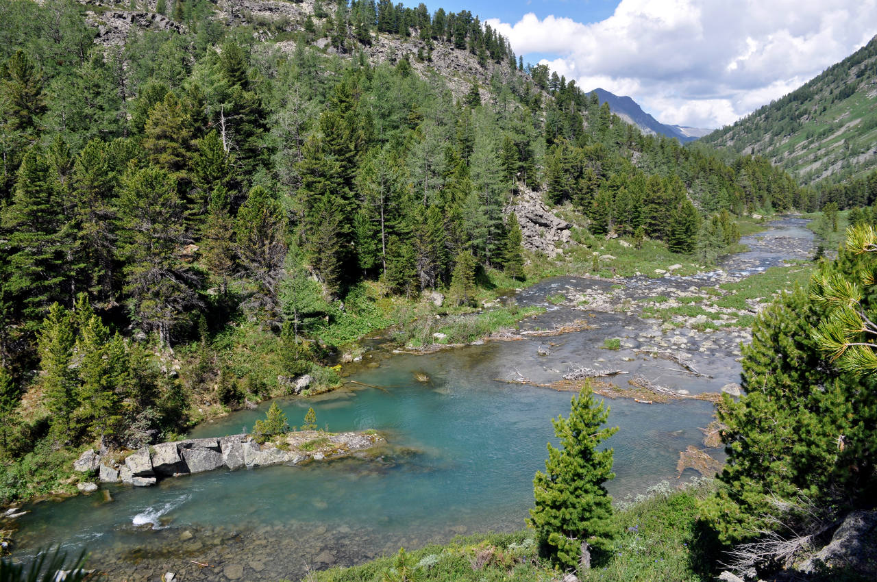 Озеро Поперечное, image of landscape/habitat.