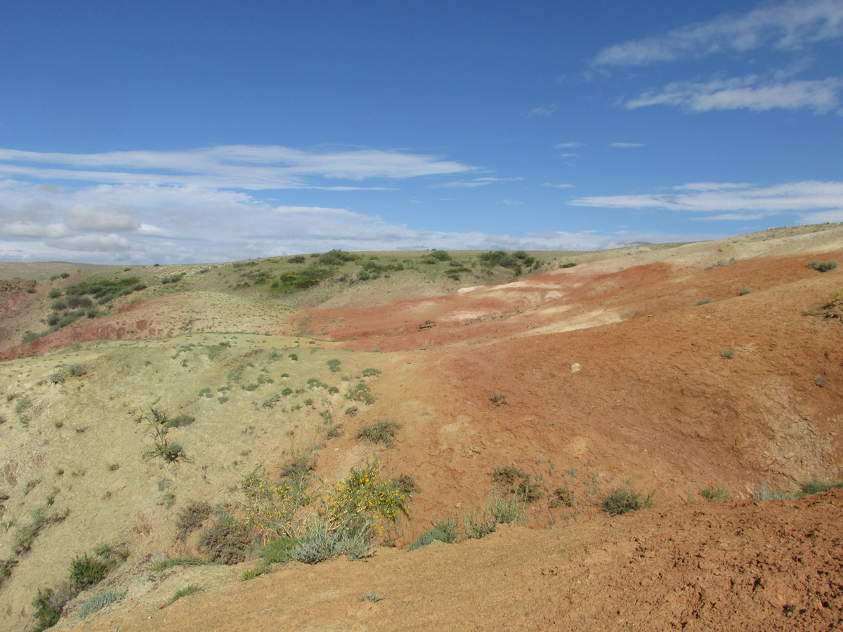 Тыдтуярык (кемпинг и рядом), image of landscape/habitat.
