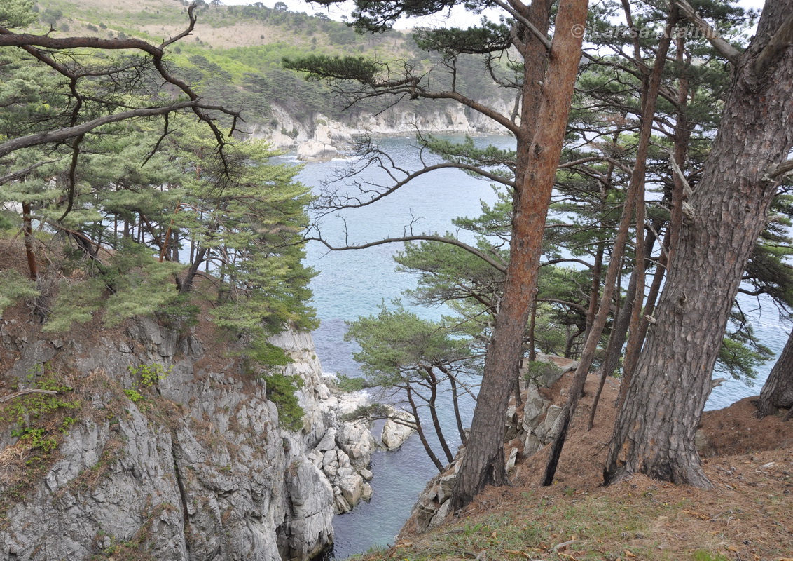 Полуостров Гамова, image of landscape/habitat.