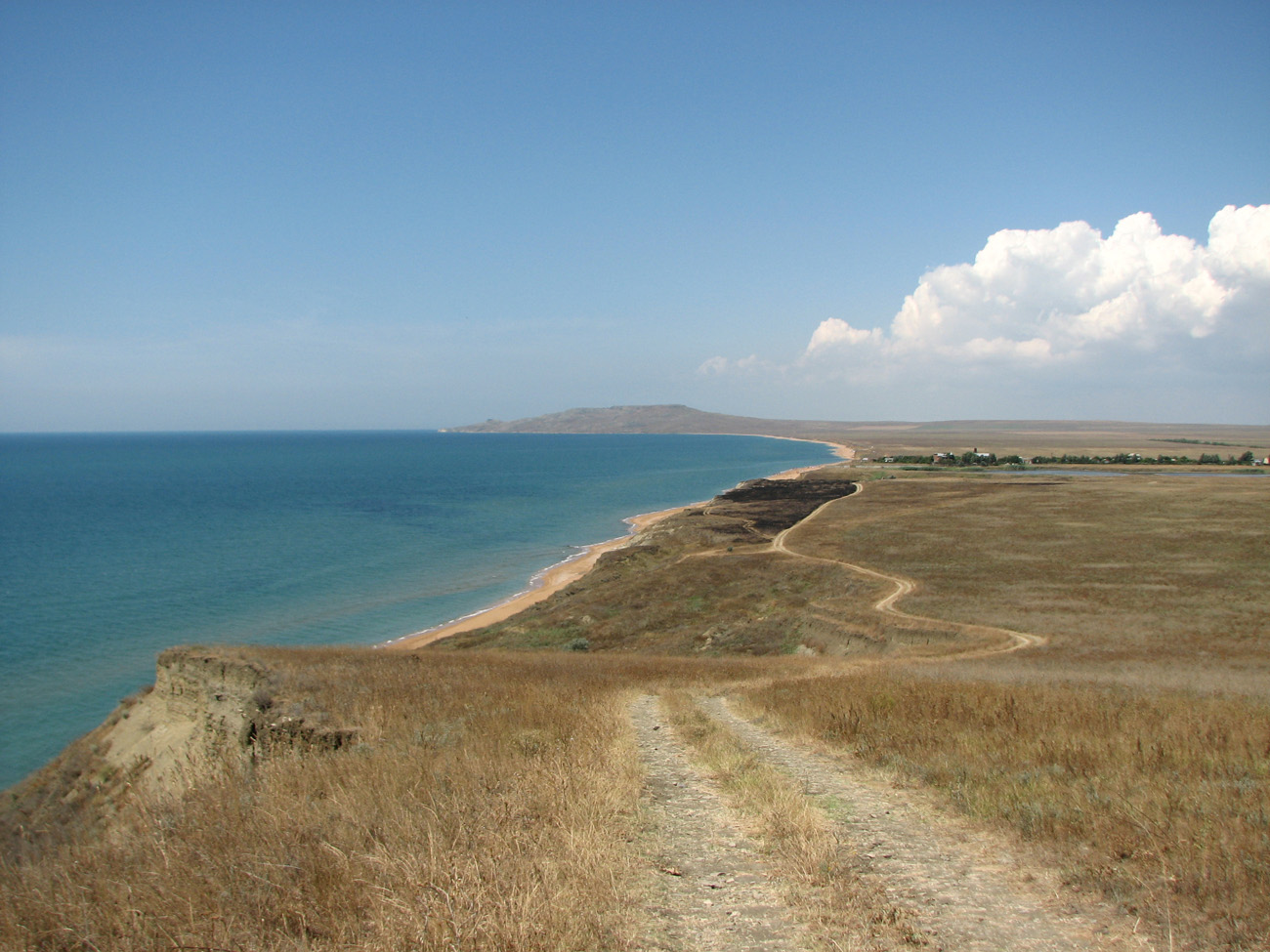 Окр. Яковенково, изображение ландшафта.