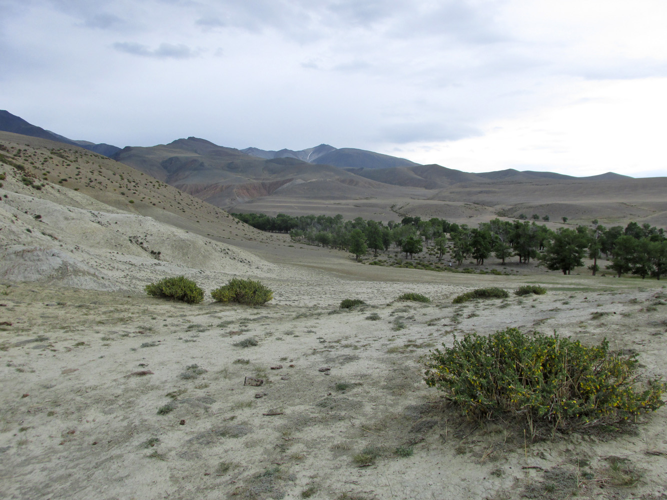 Тыдтуярык (кемпинг и рядом), image of landscape/habitat.