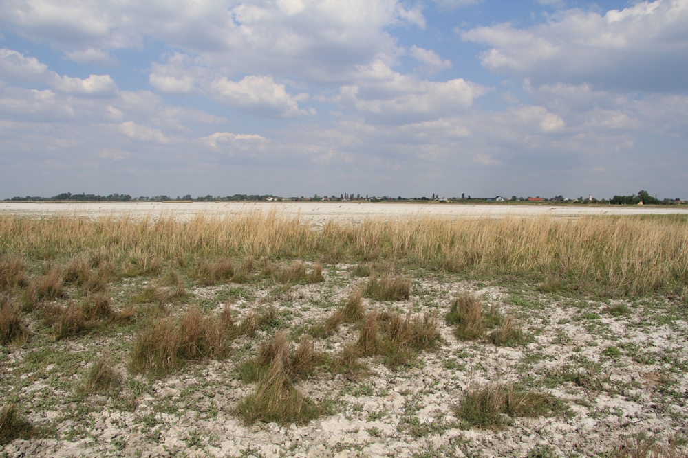 Нойзидлерзее-Зеевинкель, image of landscape/habitat.