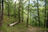 Image of landscape