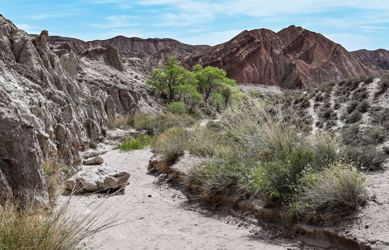 Инопланетная долина, image of landscape/habitat.