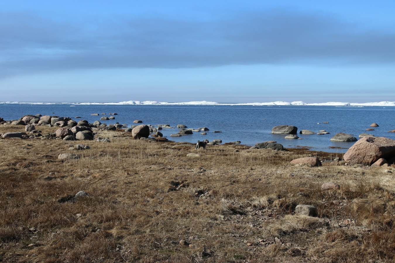 Каравалдай, image of landscape/habitat.