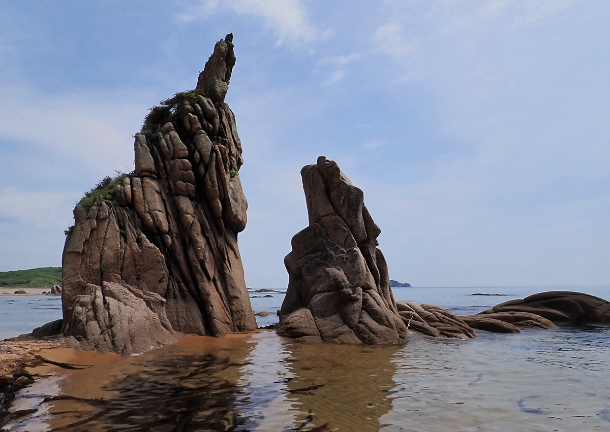 Бухта Заря, image of landscape/habitat.