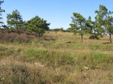 Перевал Волчьи Bорота, image of landscape/habitat.