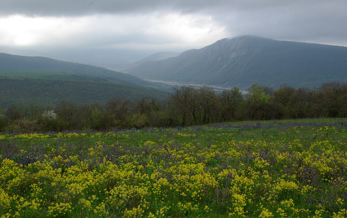 Шемаха, image of landscape/habitat.