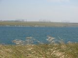 Донузлав, image of landscape/habitat.