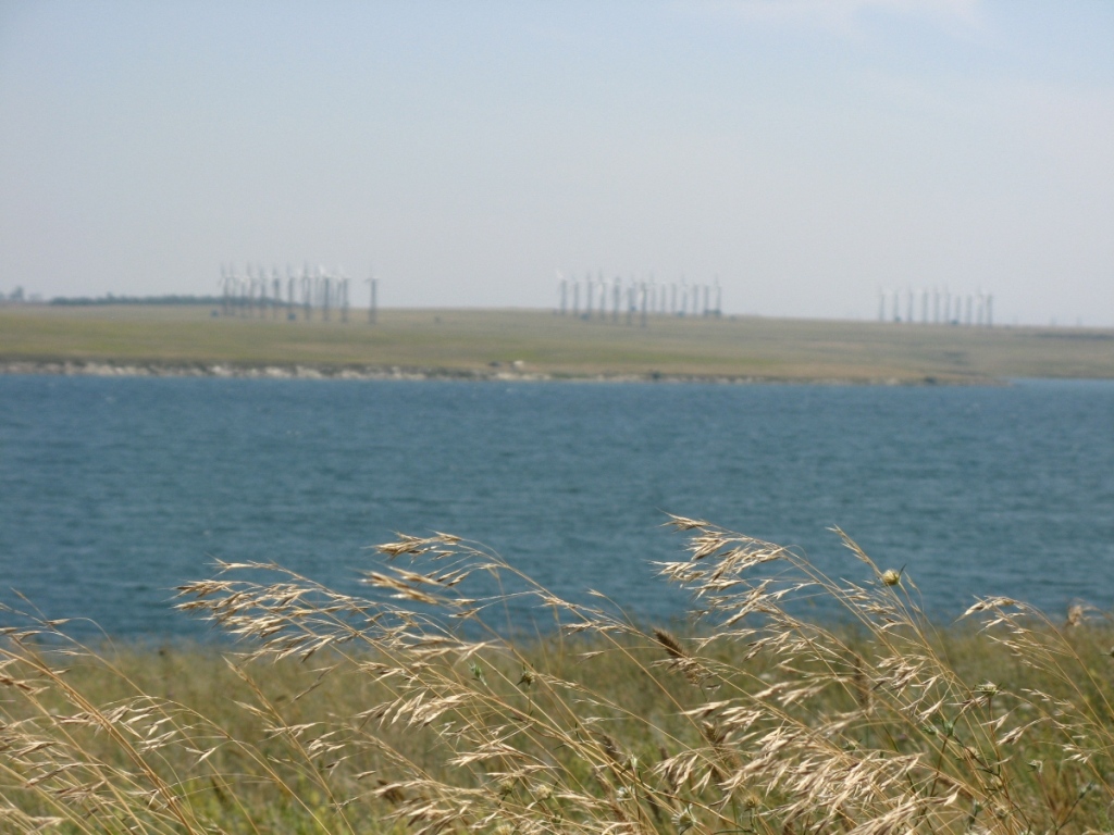 Донузлав, image of landscape/habitat.