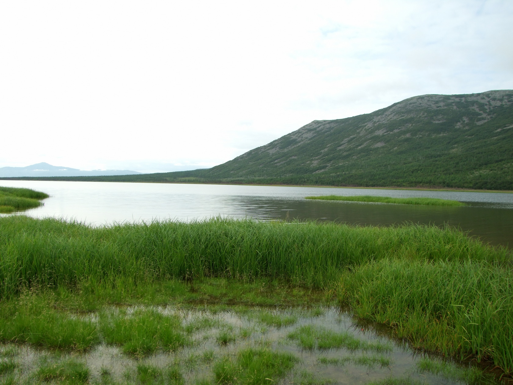 Соленое, image of landscape/habitat.