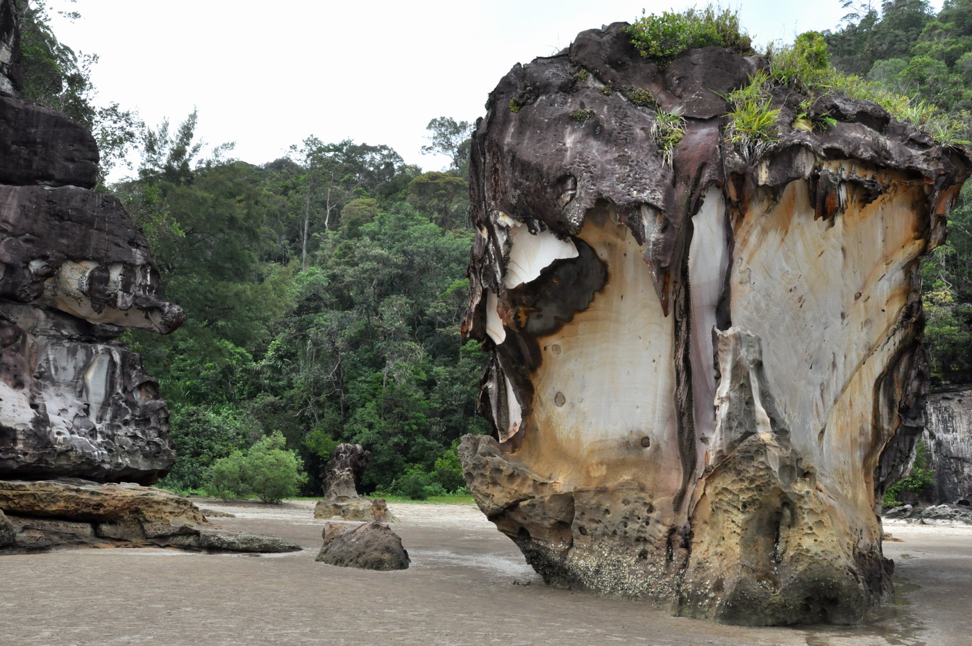 Национальный парк "Бако", image of landscape/habitat.