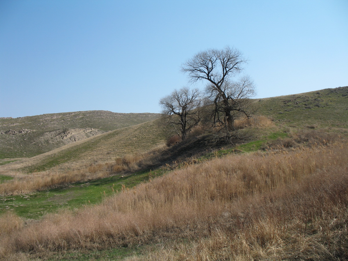 Родник Карабастау, image of landscape/habitat.