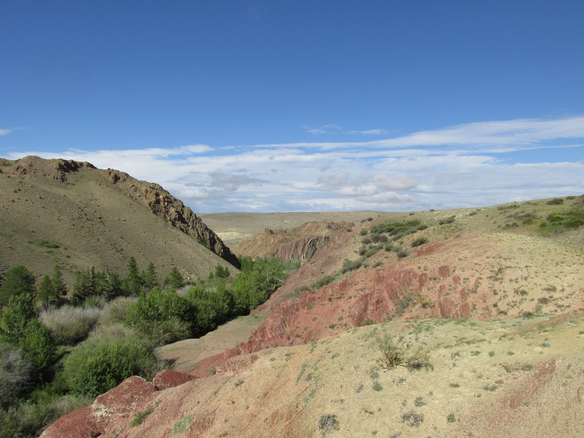 Тыдтуярык (кемпинг и рядом), image of landscape/habitat.