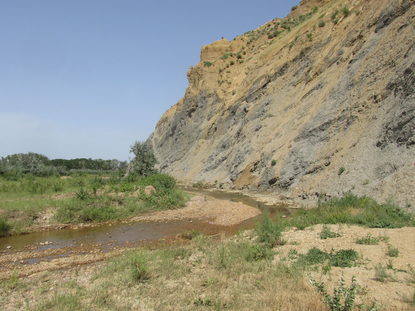 Долина реки Шураозень, image of landscape/habitat.