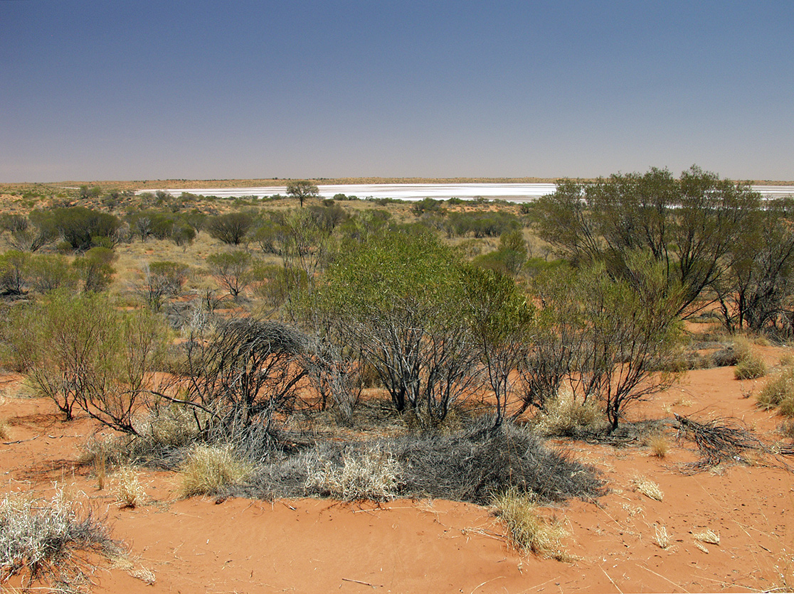 Kings Canyon, изображение ландшафта.