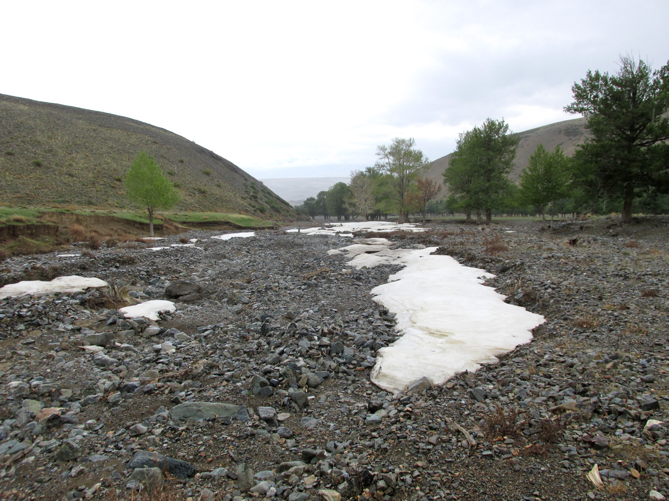 Тыдтуярык, image of landscape/habitat.