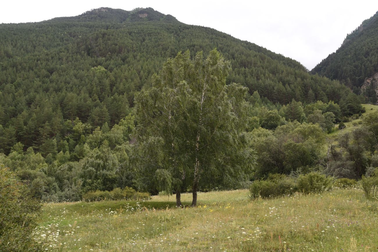 Памятник первовосходителям, image of landscape/habitat.