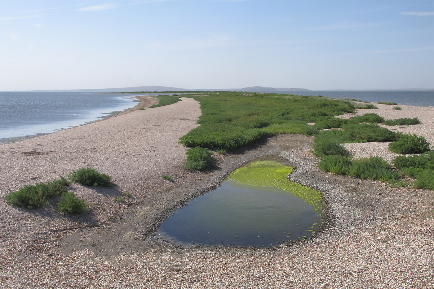 Коса Голенькая, image of landscape/habitat.