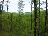 Landscape image