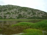 Image of landscape
