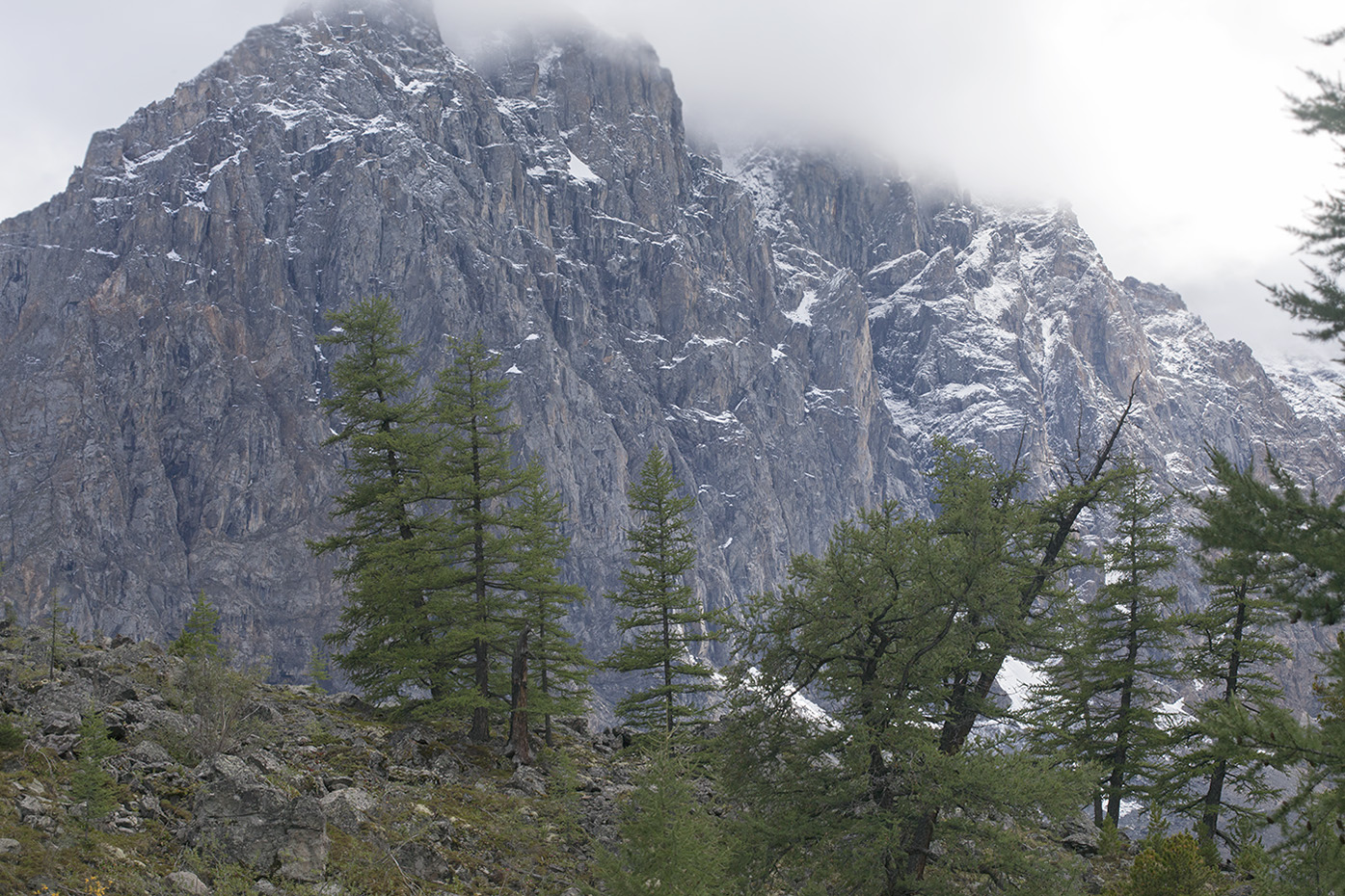 Ак-Тру, image of landscape/habitat.