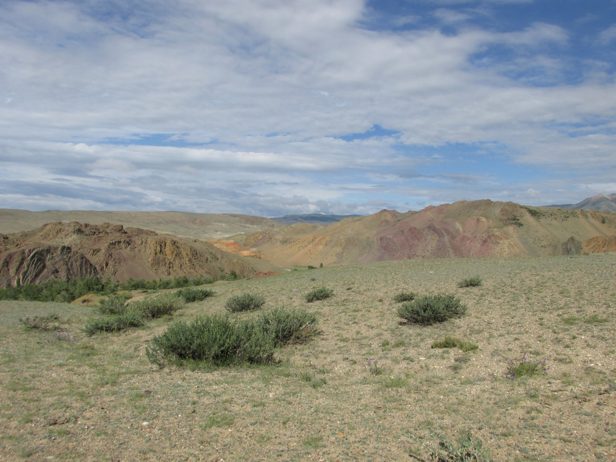 Тыдтуярык (кемпинг и рядом), image of landscape/habitat.