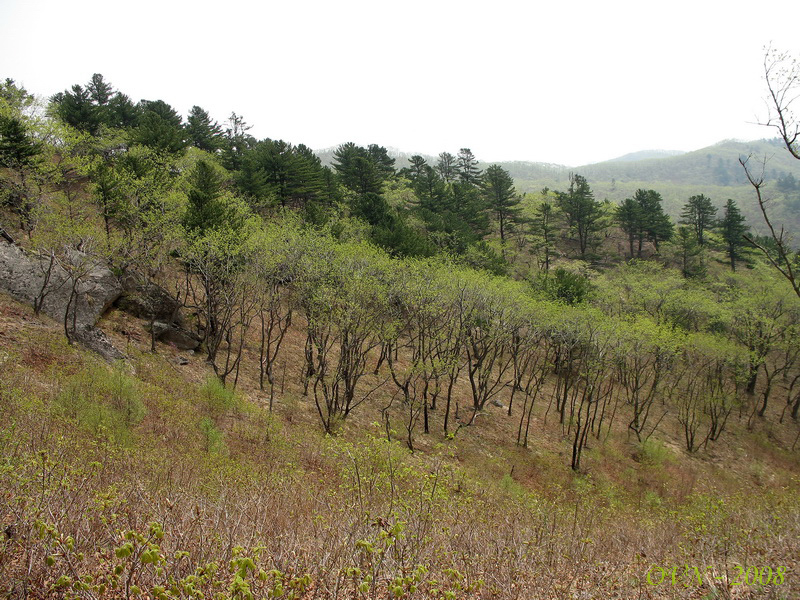 Урочище Краков, image of landscape/habitat.