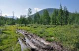 Долина реки Нилан, image of landscape/habitat.