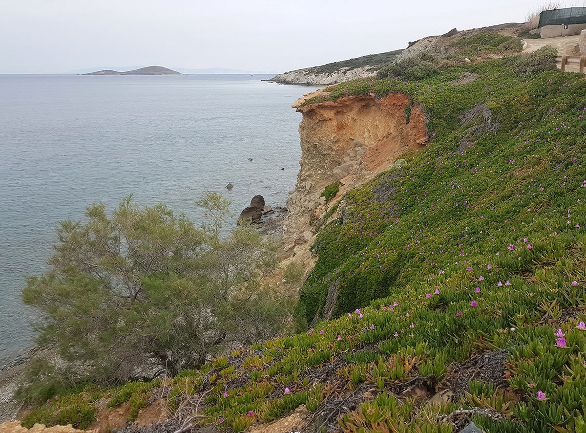 Остров Сирос, image of landscape/habitat.