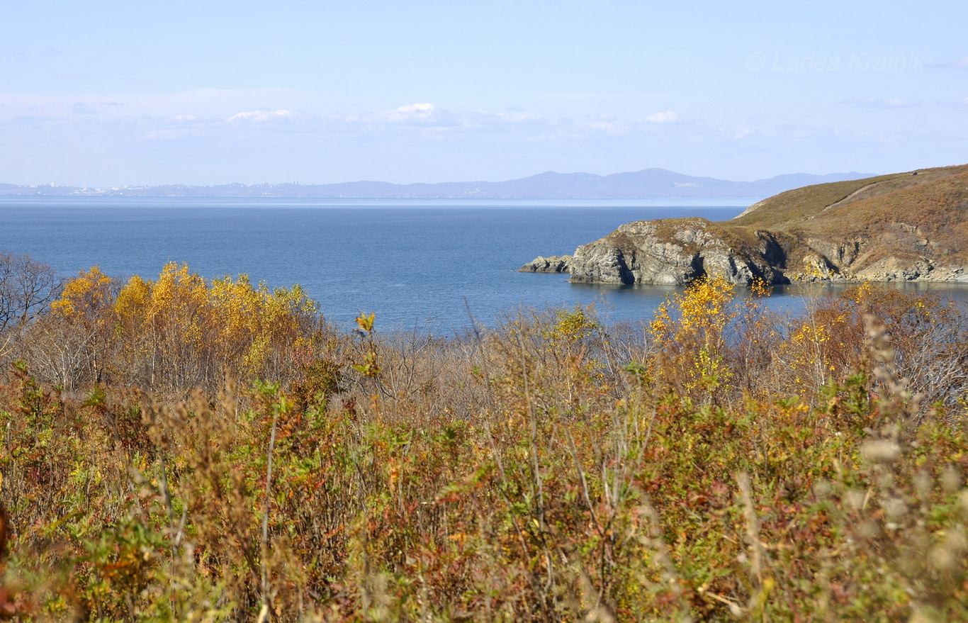 Окрестности пос. Подъяпольск, image of landscape/habitat.