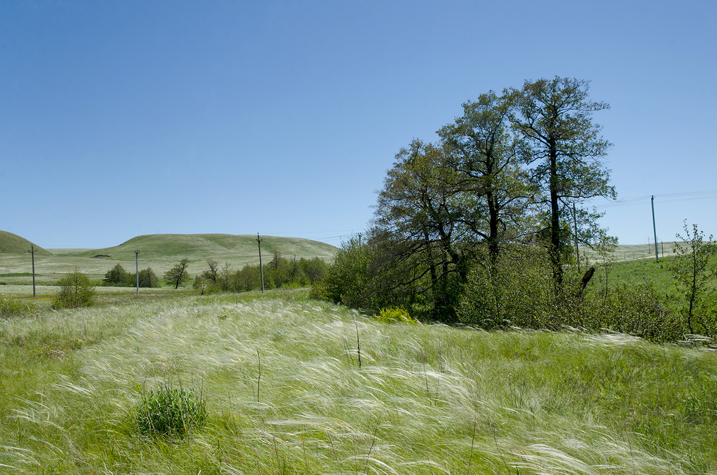 Ногайские горы, image of landscape/habitat.