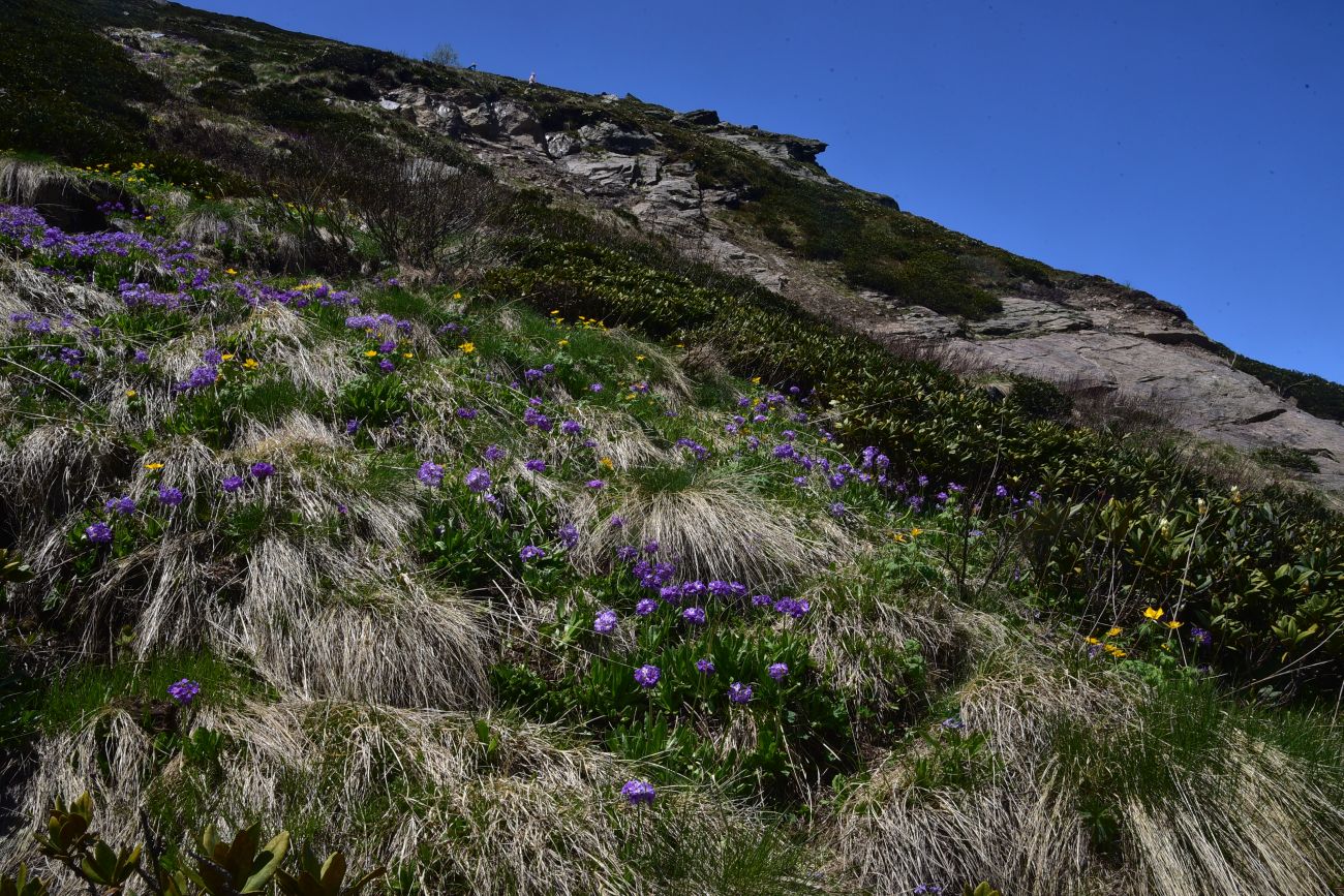 Кафе «Ай», image of landscape/habitat.