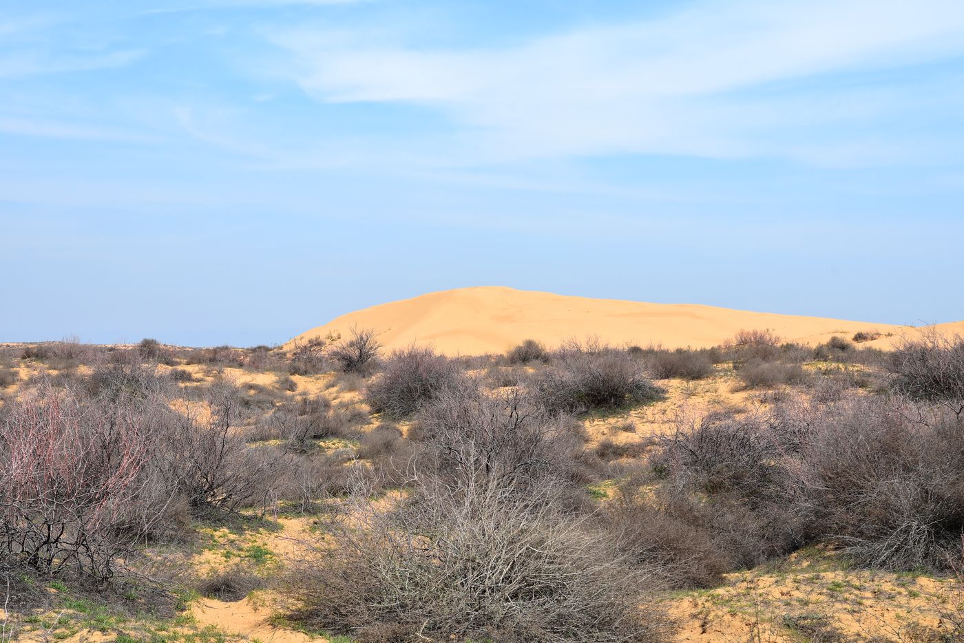 Бархан Большой Брат, image of landscape/habitat.