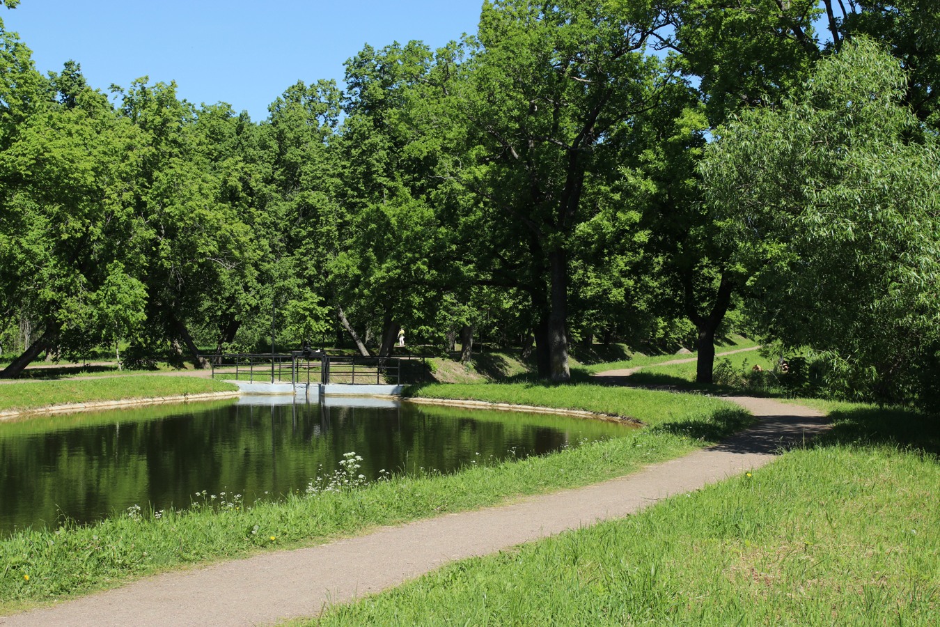 Луговой парк, image of landscape/habitat.