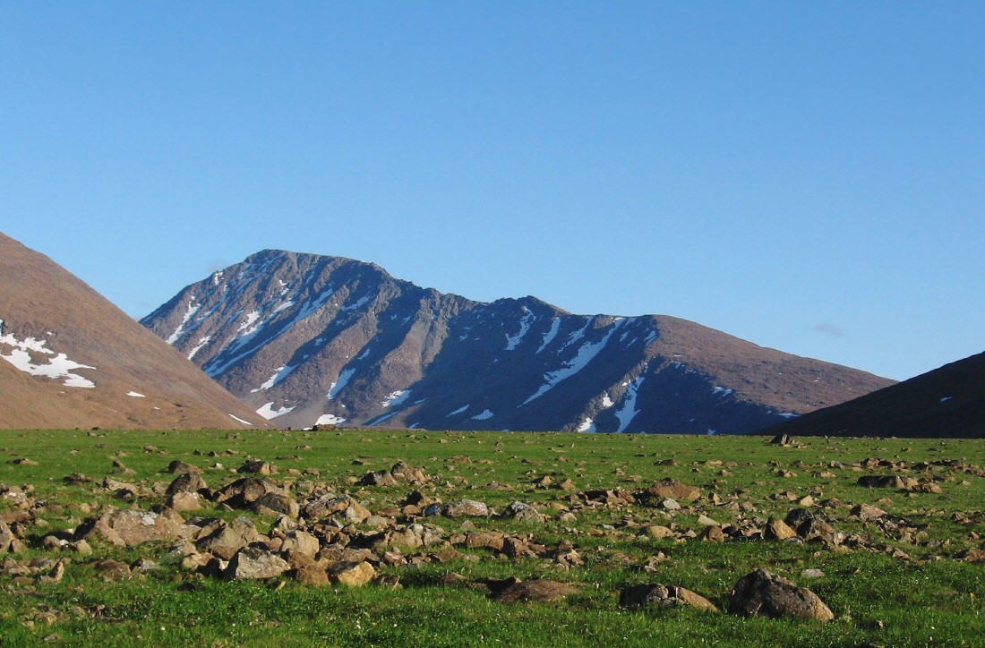 Пайер, image of landscape/habitat.