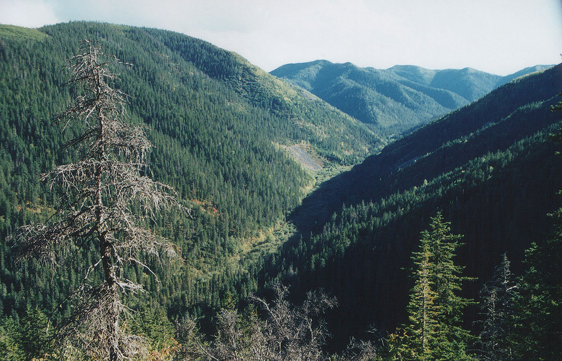 Хребет Мяочан, изображение ландшафта.