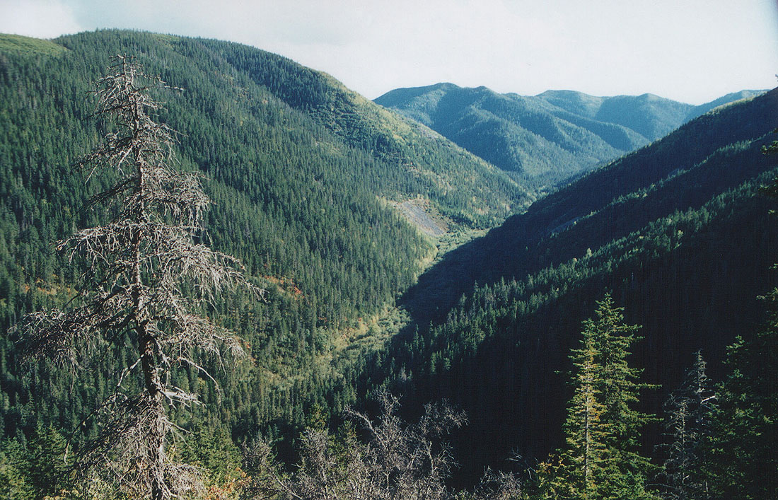 Хребет Мяочан, image of landscape/habitat.