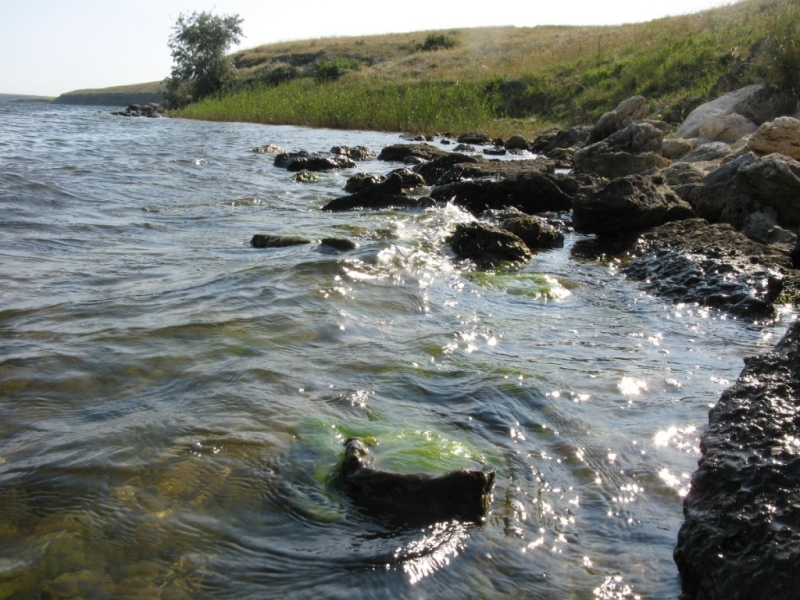 Донузлав, image of landscape/habitat.