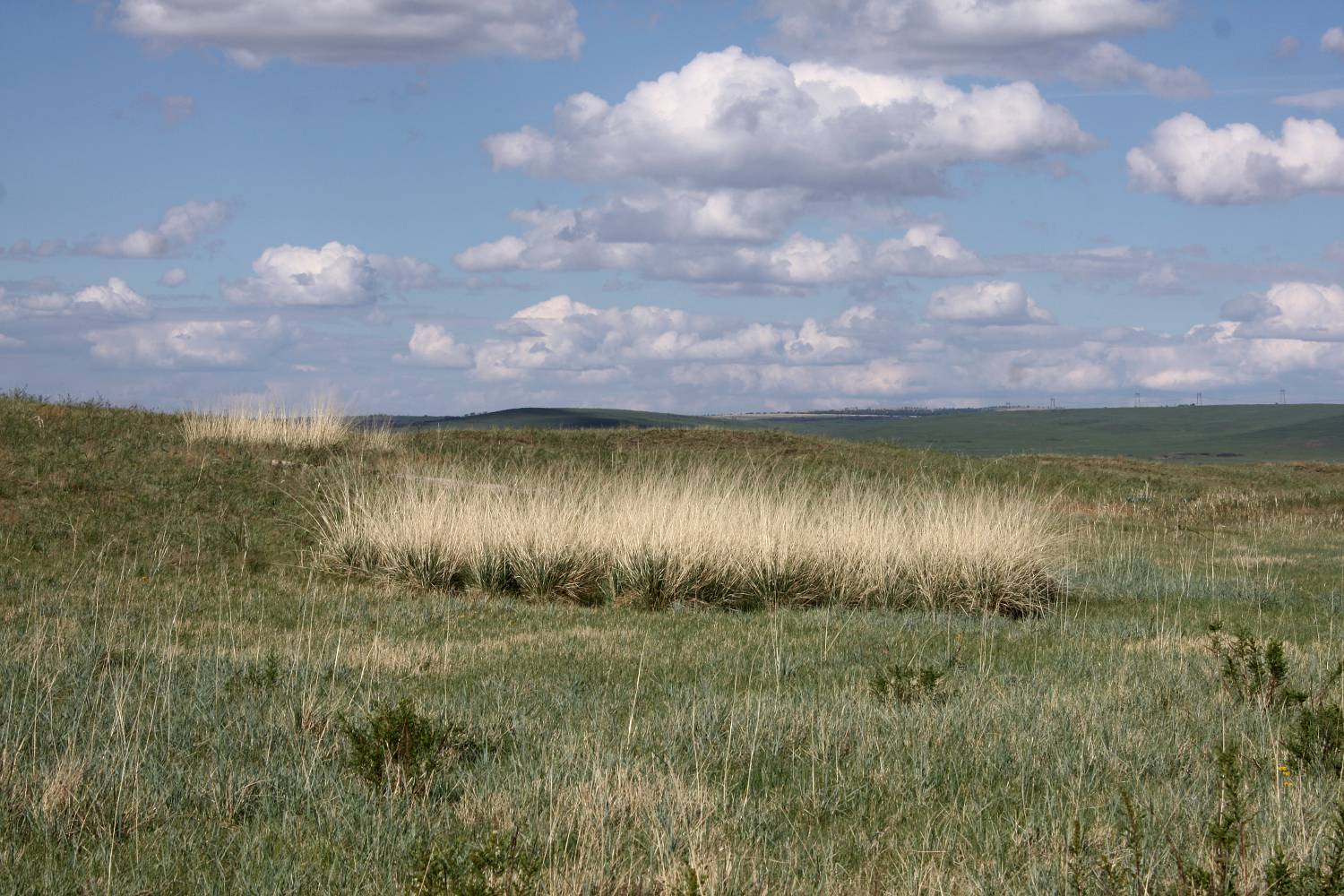 Окрестности Аршаново, изображение ландшафта.