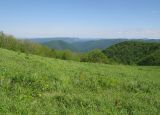 Гора Мухины Поляны, image of landscape/habitat.