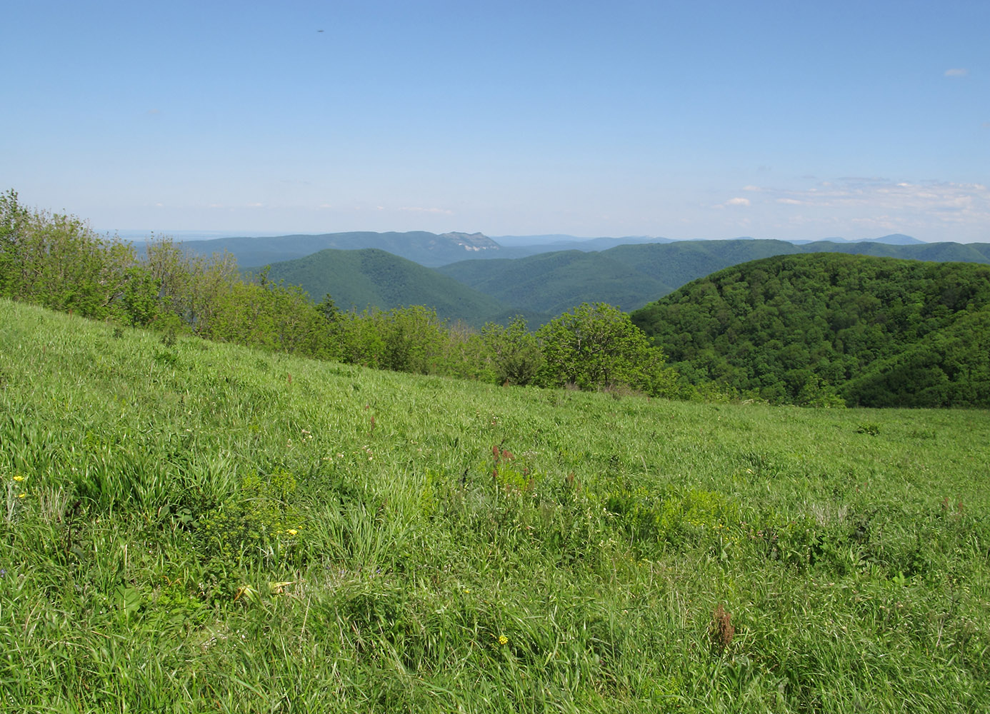 Гора Мухины Поляны, image of landscape/habitat.