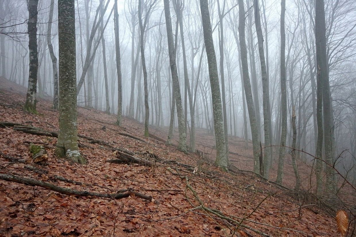 Щель Медвежья, image of landscape/habitat.