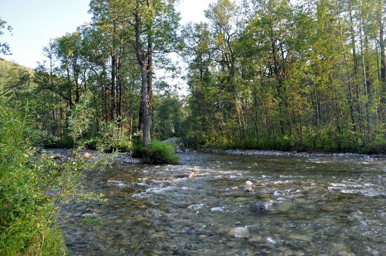 Долина реки Гремячий Лог, image of landscape/habitat.