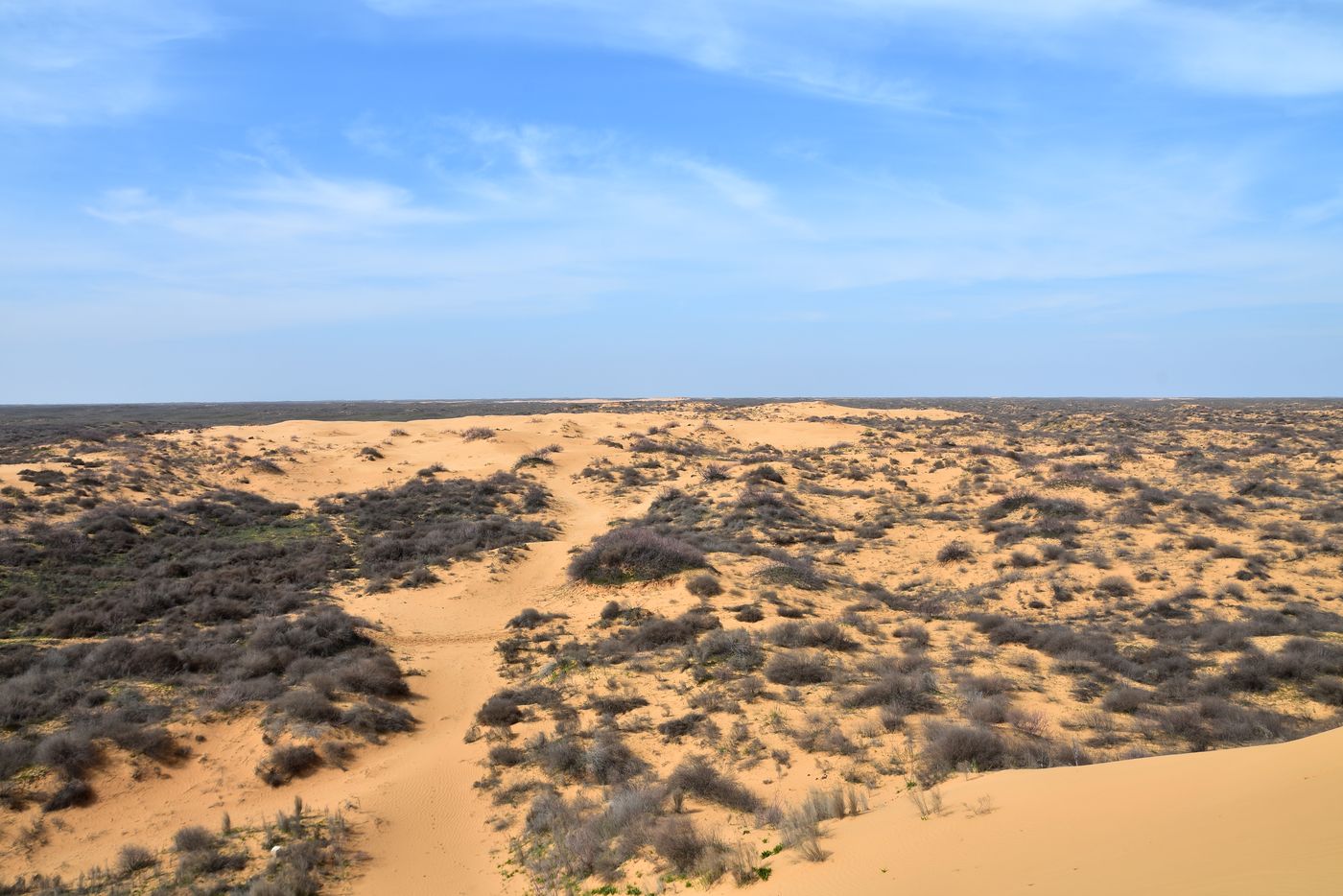 Бархан Большой Брат, image of landscape/habitat.