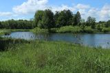Луговой парк, image of landscape/habitat.