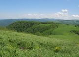 Image of landscape